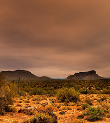 Sonora Desert Arizona