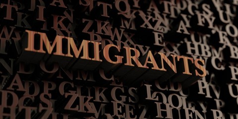 Immigrants - Wooden 3D rendered letters/message.  Can be used for an online banner ad or a print postcard.