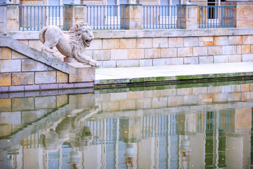 Lion sculpture reflecting in water in Warsaw park Lazienki