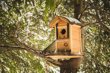 Nesting box hanging on the tree