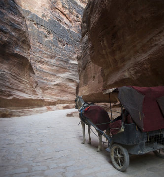 Jordan. Horse carriage in the Petra canyon