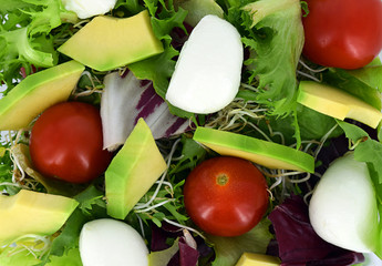 Fresh salad with cherry tomatoes, avocado and mozarella