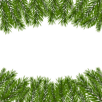 Green, realistic fir branches. Fir branches with the top and bottom of the picture. Isolated on white background. Christmas illustration