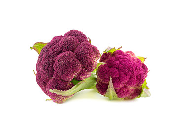 Purple cauliflower isolated on white