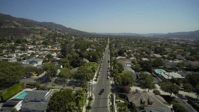 This video is about palm trees and the streets of burbank