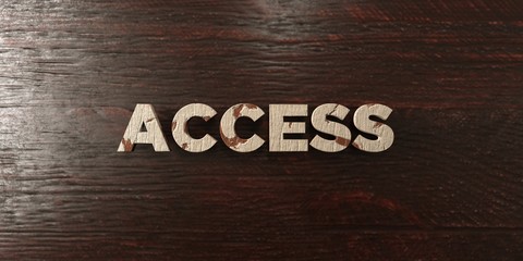Access - grungy wooden headline on Maple  - 3D rendered royalty free stock image. This image can be used for an online website banner ad or a print postcard.