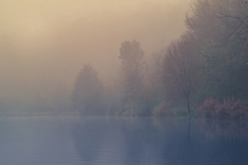Fototapeta na wymiar On the bank of a river in the fog in autumn