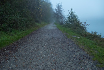 Fototapeta na wymiar Trail near the bank of a river in the fog