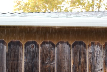 fence and rain