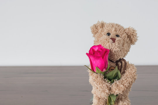 Brown Teddy Bear And Pink Rose In Love , Love Mode