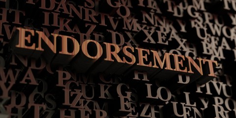 Endorsement - Wooden 3D rendered letters/message.  Can be used for an online banner ad or a print postcard.