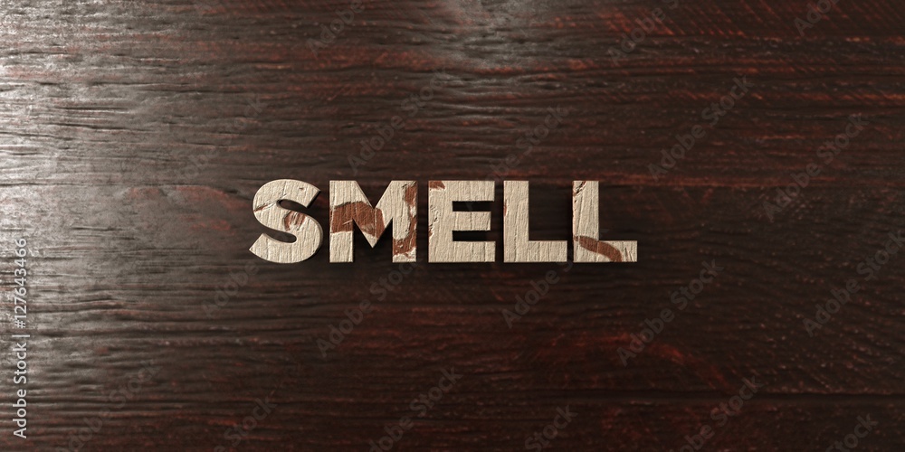 Fototapete smell - grungy wooden headline on maple - 3d rendered royalty free stock image. this image can be us