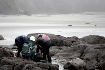 People investigating tide pools
