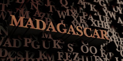 Madagascar - Wooden 3D rendered letters/message.  Can be used for an online banner ad or a print postcard.