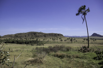 Maytreia Garden in Chapada dos Veadeiros - Brazil