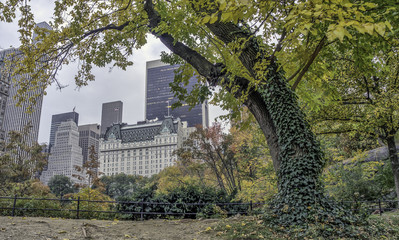 Central Park, New York City