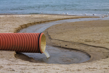 environmental pollution on the beach. Waste pipe or drainage polluting environment. Birds drink...