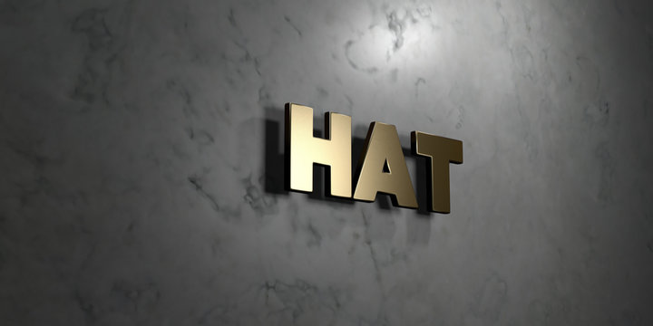 Hat - Gold sign mounted on glossy marble wall  - 3D rendered royalty free stock illustration. This image can be used for an online website banner ad or a print postcard.