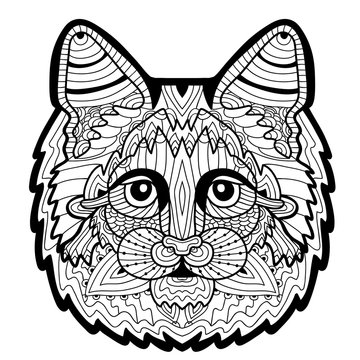 Totem coloring page for adults. Hand-drawn head of a Maine Coon. White background. Element for your design. 
