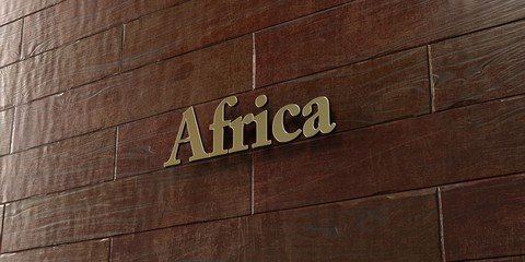 Africa - Bronze plaque mounted on maple wood wall  - 3D rendered royalty free stock picture. This image can be used for an online website banner ad or a print postcard.