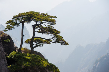 Obraz premium Huangshan Mountain Range - Anhui Province - China. Scenic landscape with steep cliffs and trees during a sunny day