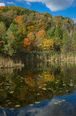 Autumn parkland featuring a sun-lit pond, vivid fall colors on trees and bright blue sky.