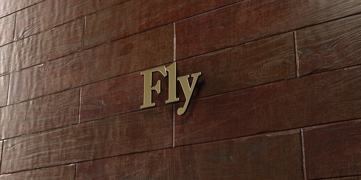 Fly - Bronze plaque mounted on maple wood wall  - 3D rendered royalty free stock picture. This image can be used for an online website banner ad or a print postcard.