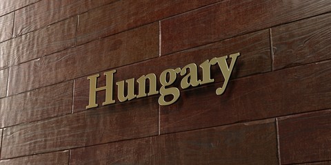 Hungary - Bronze plaque mounted on maple wood wall  - 3D rendered royalty free stock picture. This image can be used for an online website banner ad or a print postcard.