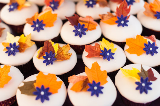 Bright Colored Fall Themed Cupcakes And A Cake At A Wedding Celebration