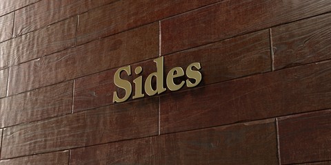 Sides - Bronze plaque mounted on maple wood wall  - 3D rendered royalty free stock picture. This image can be used for an online website banner ad or a print postcard.