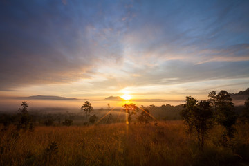 Naklejka na ściany i meble Misty morning sunrise at Thung Salang Luang National Park Phetch