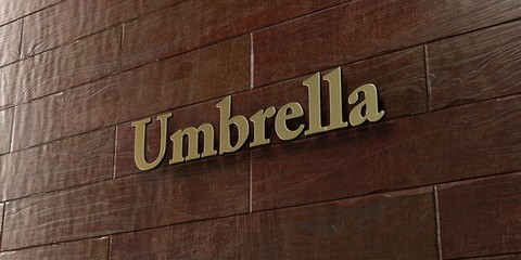 Umbrella - Bronze plaque mounted on maple wood wall  - 3D rendered royalty free stock picture. This image can be used for an online website banner ad or a print postcard.