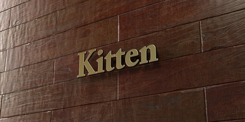 Kitten - Bronze plaque mounted on maple wood wall  - 3D rendered royalty free stock picture. This image can be used for an online website banner ad or a print postcard.