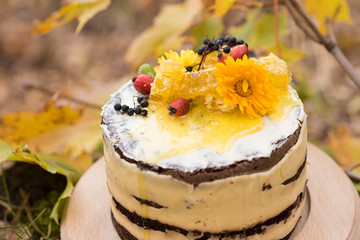 Beautiful cake with flowers, honey and berries outdoors