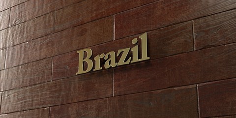 Brazil - Bronze plaque mounted on maple wood wall  - 3D rendered royalty free stock picture. This image can be used for an online website banner ad or a print postcard.