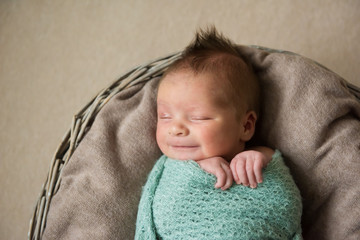 Smiling newborn baby with a Mohawk hairstyle is sleeping in the basket © irena_geo