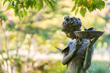 Central Park, New York City, Burnett Memorial fountain in summer with water lily