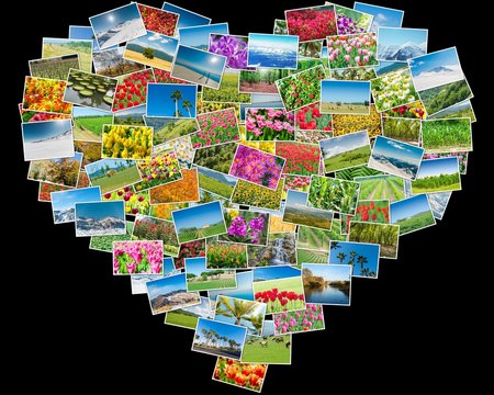 Various nature photos arranged in heart frame