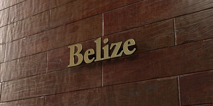Belize - Bronze plaque mounted on maple wood wall  - 3D rendered royalty free stock picture. This image can be used for an online website banner ad or a print postcard.