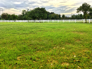 Countryside  with green grass and white wooden horse fence
