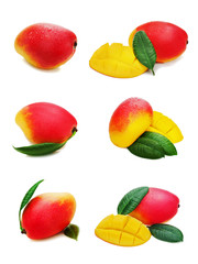 Set of fresh mango fruits isolated on white background.