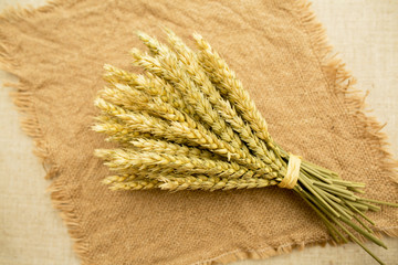 Ears of wheat is in the bouquet. Dried wheat on the linen fabric. 