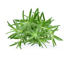 Rosemary, Pile of rosemary leaf  isolated on white background