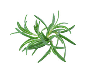 Rosemary, Pile of rosemary leaf  isolated on white background