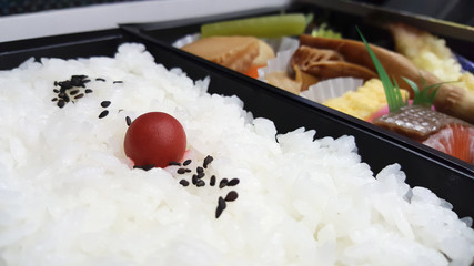 red plum with black sesame on Japanese rice