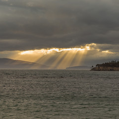 Rays on the water