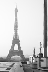 Eiffel Tower in the morning in black and white. Paris, France - 127659233
