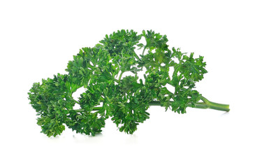 Obraz premium parsley isolated on a white background