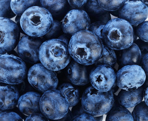 Blueberry close up and blueberry background