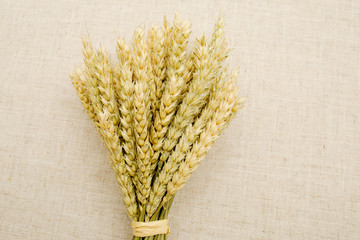 Ears of wheat is in the bouquet. Dried wheat on the linen fabric. 